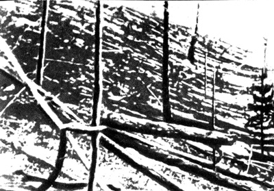 В 1908 г. в бассейне реки Подкаменная Тунгуска упал метеорит, вызвав взрыв, равный по мощности взрыву 30-мегатонной водородной бомбы. До сих пор, по прошествии почти 80 лет, в районе его падения лежат стволы тысяч деревьев, поваленных взрывной волной. В своем рассказе "Взрыв" автор данной статьи высказал предположение, что причиной катастрофы был не упавший метеорит, а разбившийся инопланетный космический корабль; эта гипотеза вызвала широкий интерес не только писателей-фантастов, но и ученых